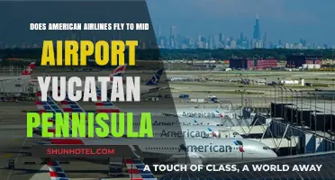 American Airlines Flights to MID Airport, Yucatan Peninsula: What to Know