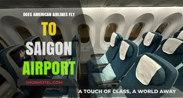 Does American Airlines Fly to Saigon Airport? Your Travel Guide