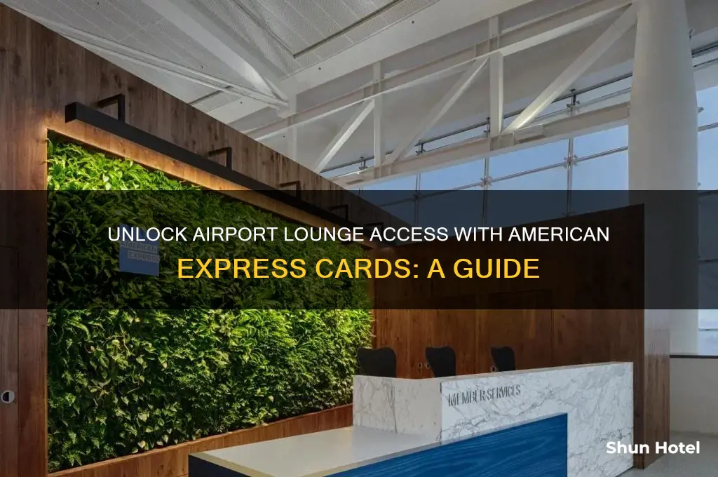 does american express get you in airport lounges