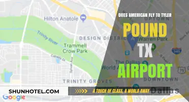 Does American Airlines Fly to Tyler Pounds Regional Airport, TX?
