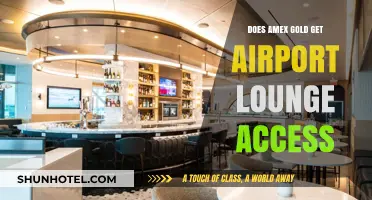 Does Amex Gold Offer Airport Lounge Access? Benefits Explained