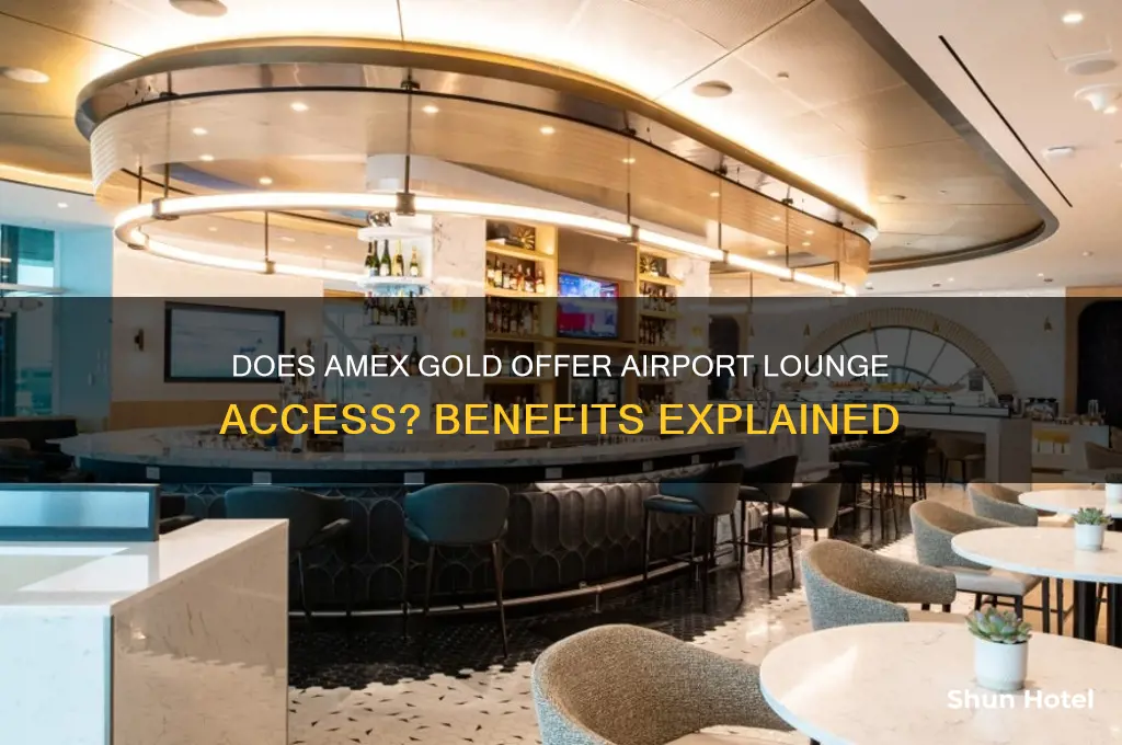 does amex gold get airport lounge access