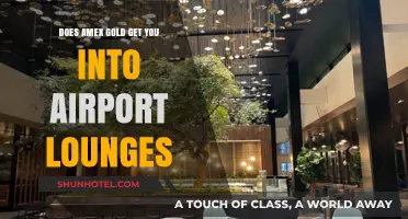 Unlocking Airport Lounge Access: Amex Gold Benefits Explained