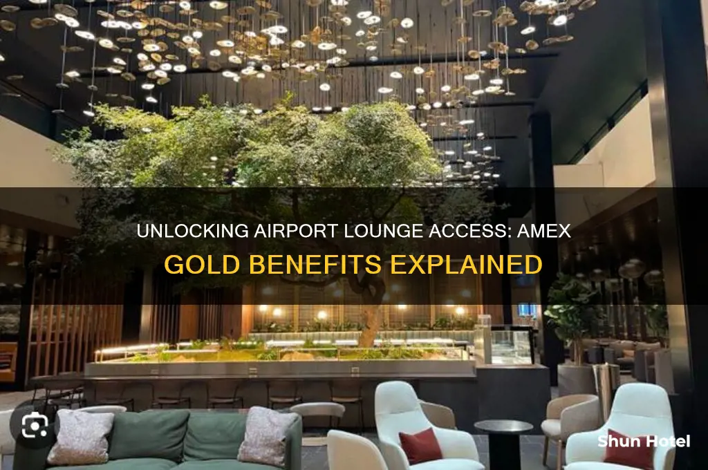 does amex gold get you into airport lounges