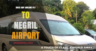 Exploring Negril Airport: Which Airlines Offer Flights to Jamaica?