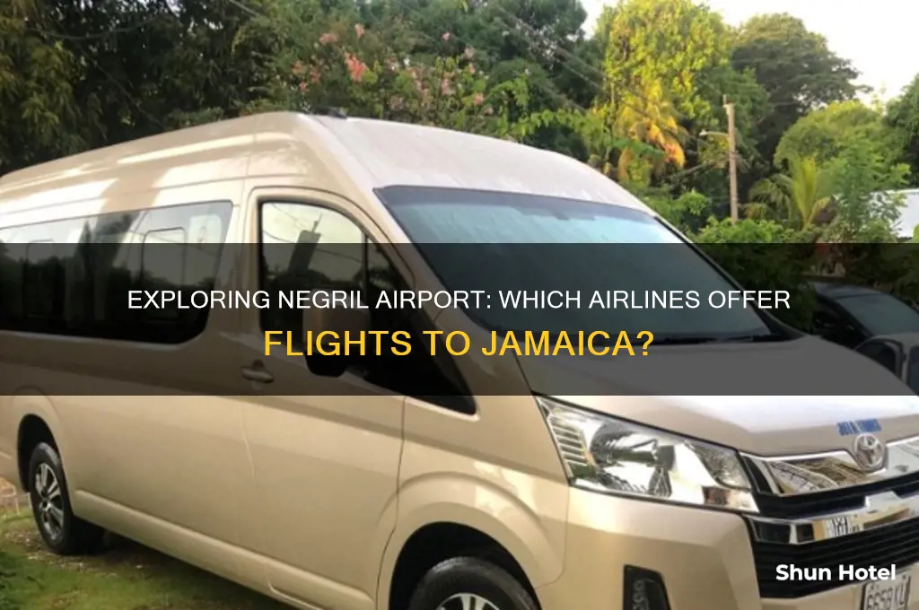 does any airline fly to negril airport