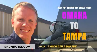 Omaha to Tampa: Direct Flight Options and Travel Tips
