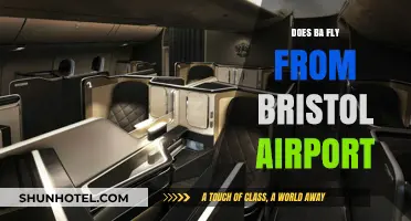 Does British Airways Operate Flights from Bristol Airport?