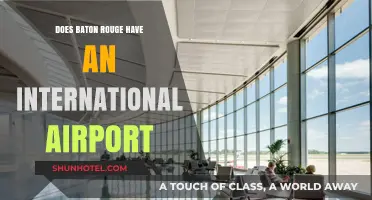 Exploring Baton Rouge's Airport: Is It International or Domestic?