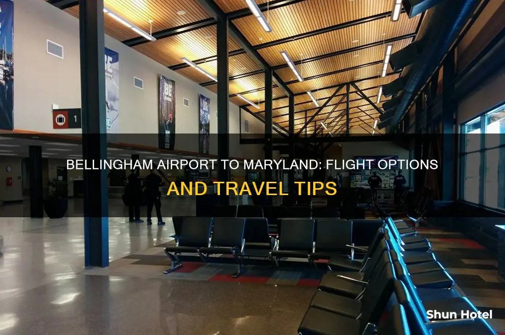 does belingham airport fly to maryland