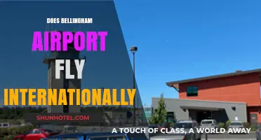 Exploring Bellingham Airport: International Flights and Travel Options