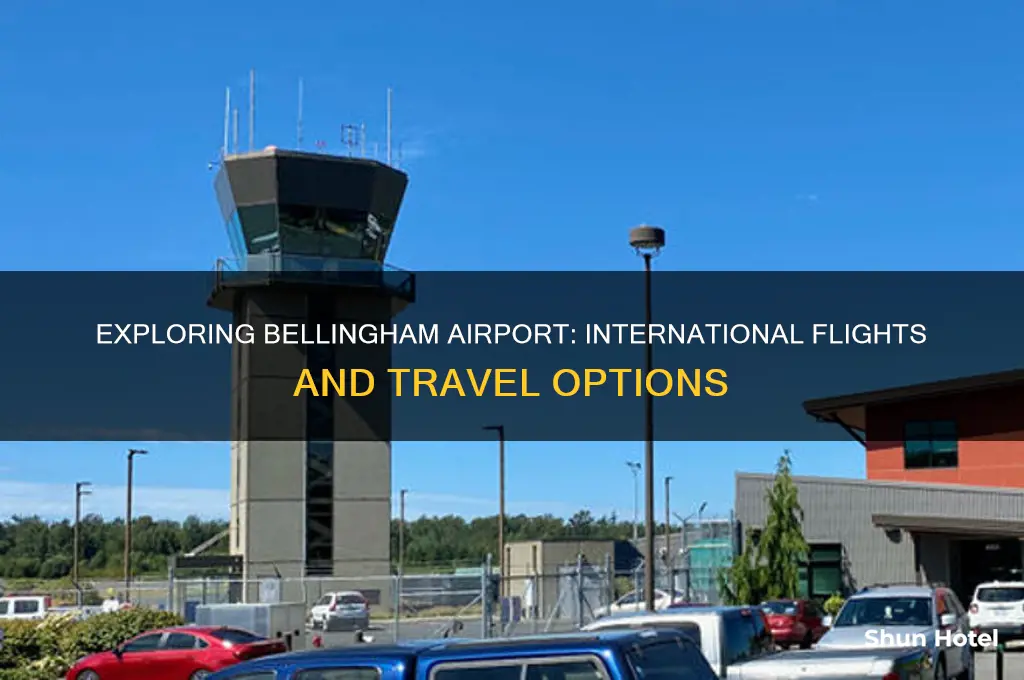 does bellingham airport fly internationally