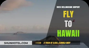 Bellingham Airport to Hawaii: Possible Routes and Travel Options