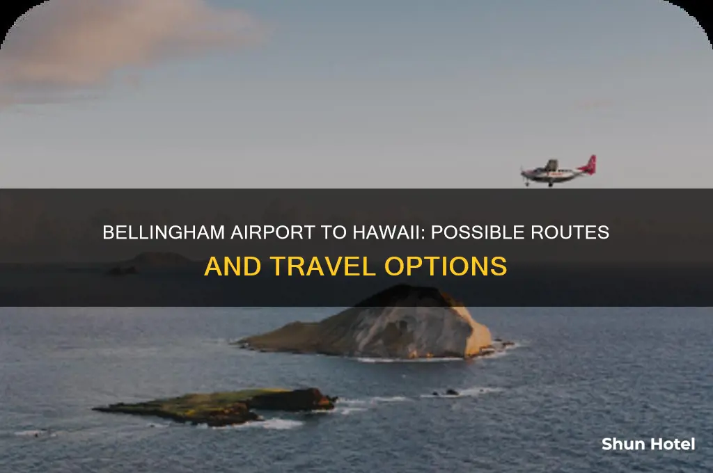 does bellingham airport fly to hawaii