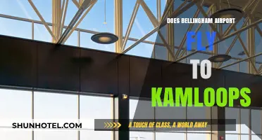 Bellingham Airport to Kamloops: Exploring Flight Options and Connections