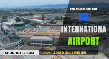 Bologna's Airport: International Hub or Regional Gateway?