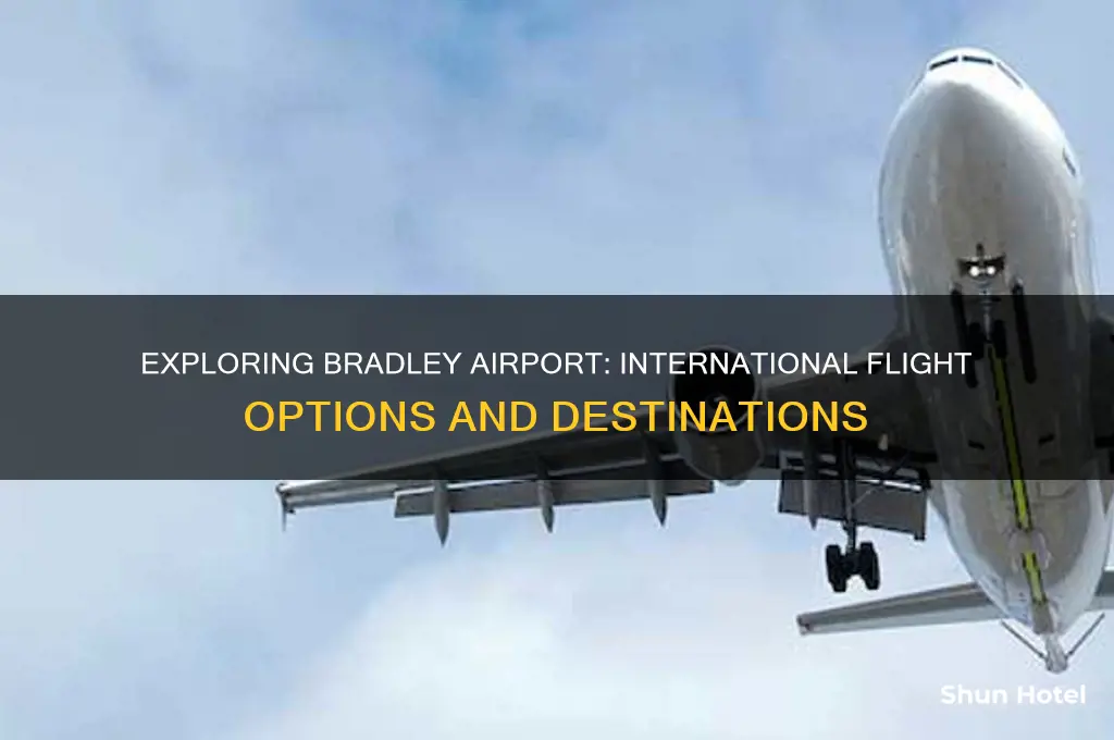 does bradley airport have international flights