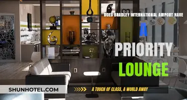 Bradley International Airport: Priority Lounge Availability and Access Guide