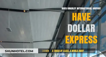 Does Bradley International Airport Offer Dollar Express Services?