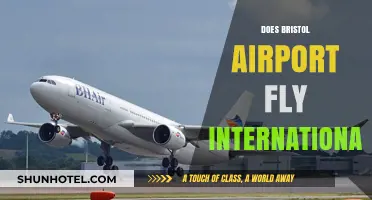 Does Bristol Airport Offer International Flights? A Comprehensive Guide