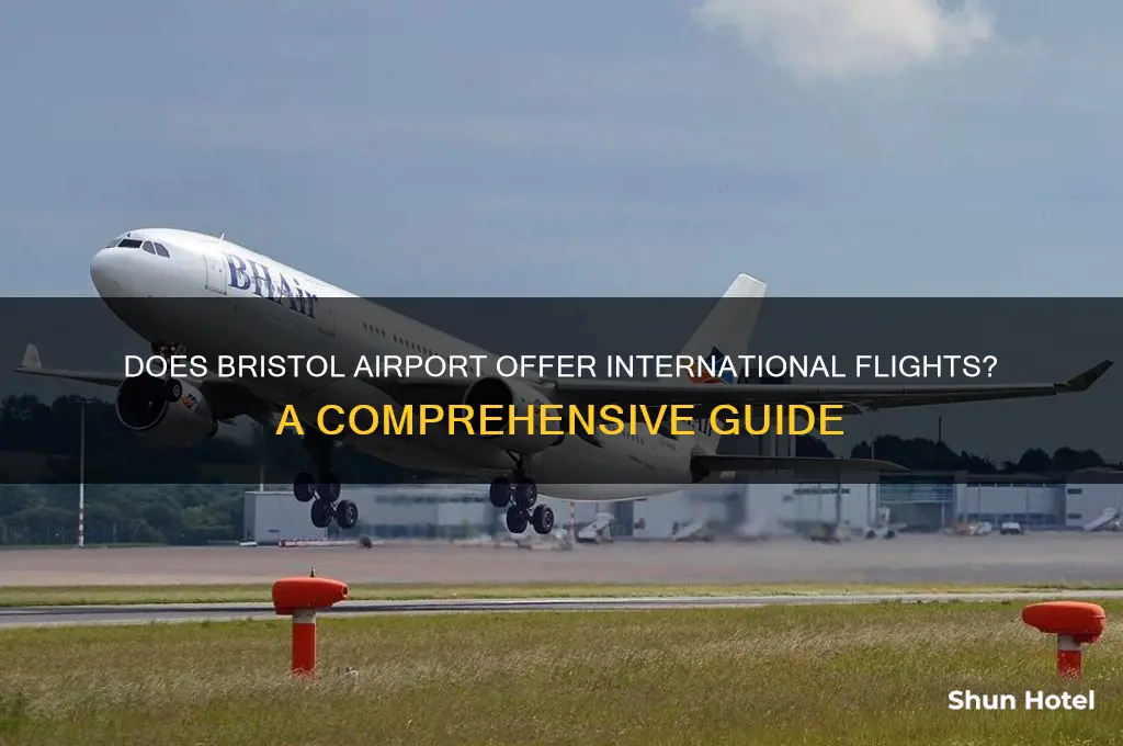 does bristol airport fly internationally