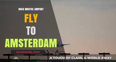 Bristol Airport to Amsterdam: Direct Flights and Travel Options