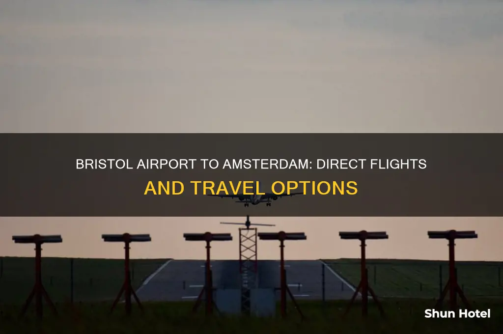 does bristol airport fly to amsterdam