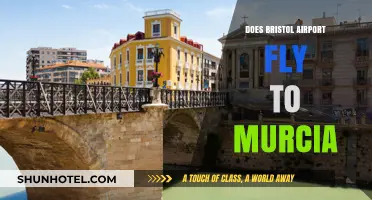 Bristol Airport to Murcia: Flight Routes and Travel Options Explained