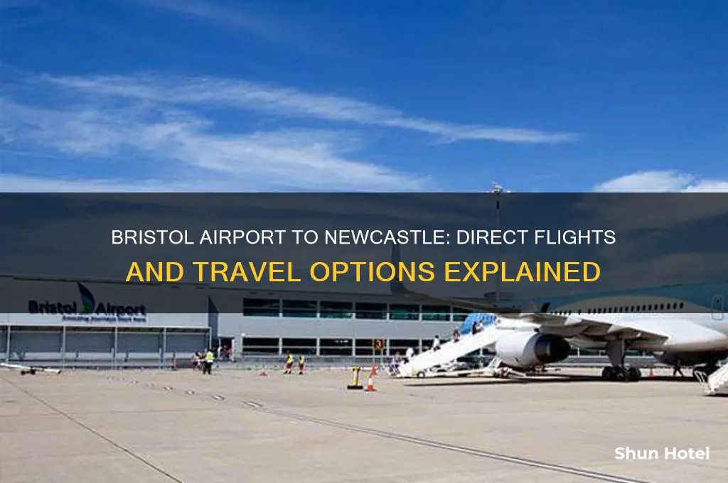 does bristol airport fly to newcastle
