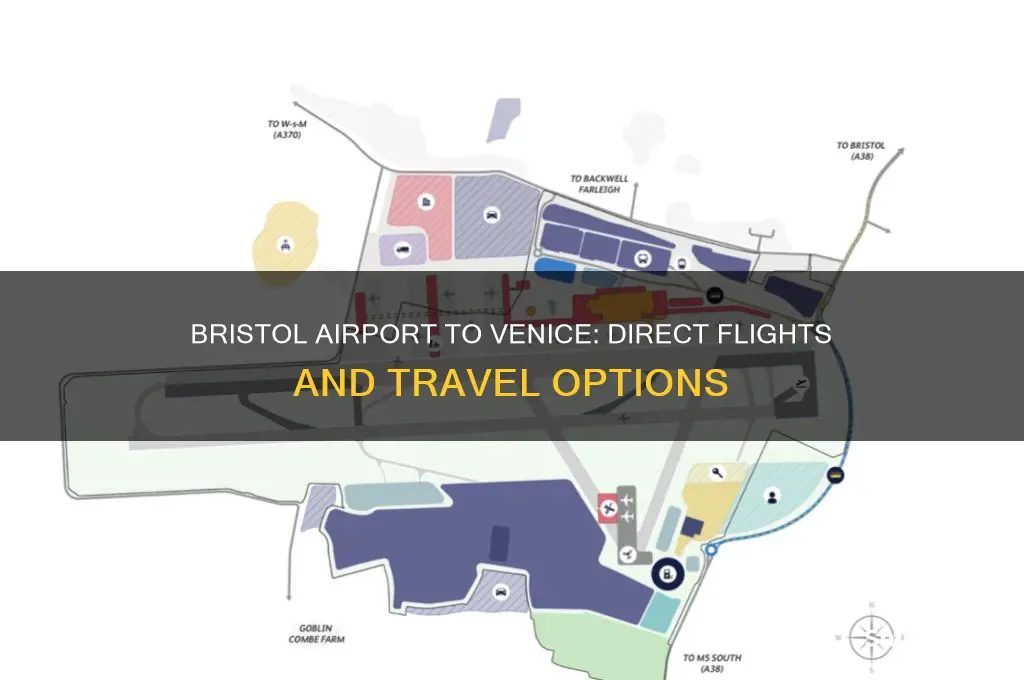 does bristol airport fly to venice