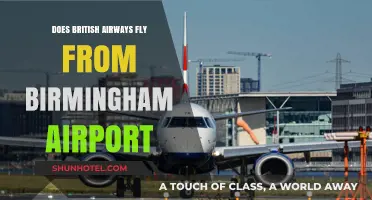 Does British Airways Operate Flights from Birmingham Airport?