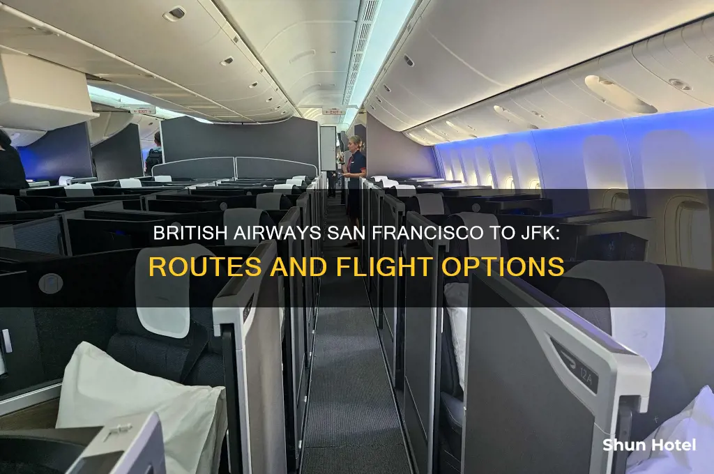 does british airways fly from san francisco to jfk airport