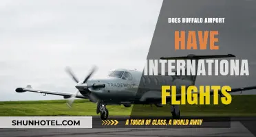 Buffalo Airport International Flights: Destinations, Availability, and Travel Options