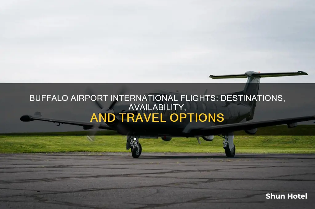 does buffalo airport have international flights