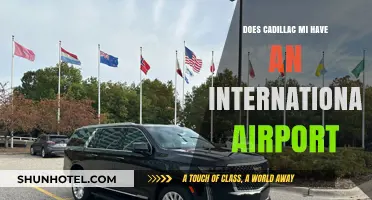 Does Cadillac, MI Have an International Airport? Exploring Travel Options