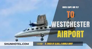 Does Cape Air Fly to Westchester Airport? Your Travel Guide