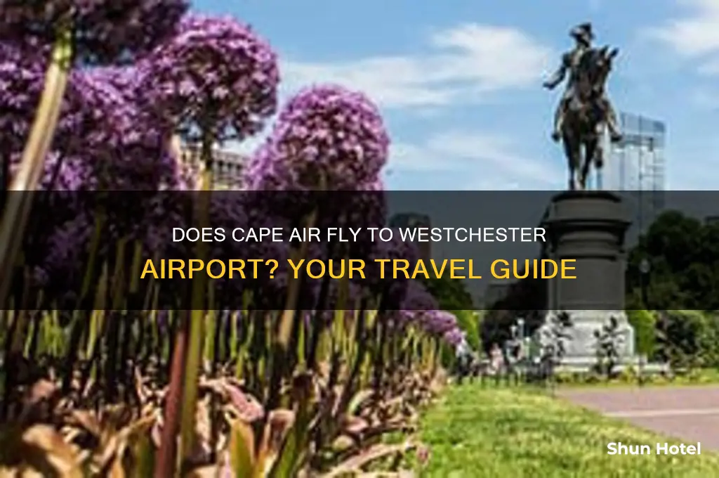 does cape air fly to westchester airport