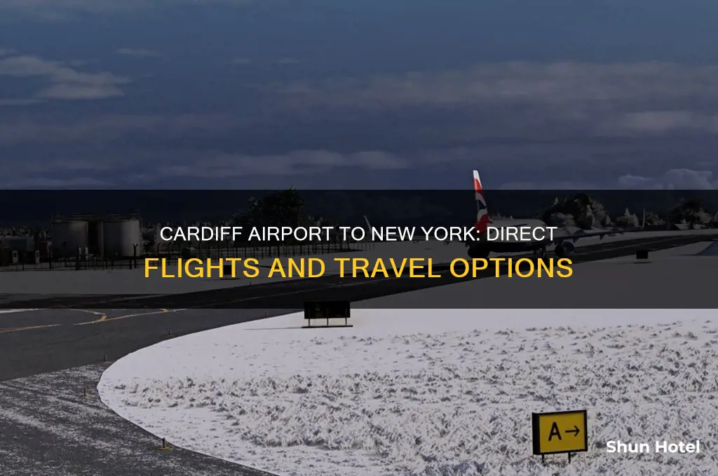 does cardiff airport fly to new york