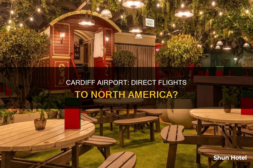 does cardiff airport fly to usa or canada