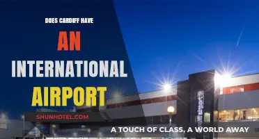 Cardiff International Airport: Exploring Wales' Global Gateway and Connectivity
