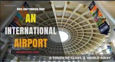 Exploring Chattanooga's Airport: Is It International or Domestic?