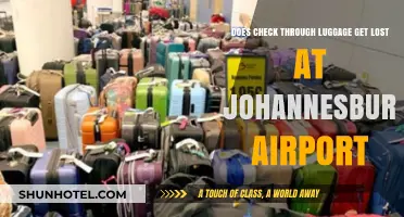 Does Checked Luggage Get Lost at Johannesburg Airport? Facts Revealed
