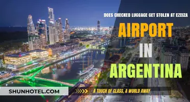 Is Your Checked Luggage Safe at Ezeiza Airport in Argentina?