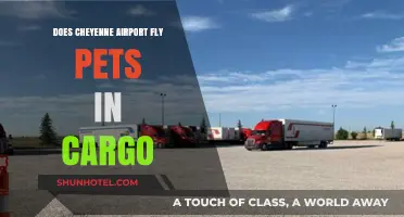 Cheyenne Airport Pet Cargo Policy: What You Need to Know