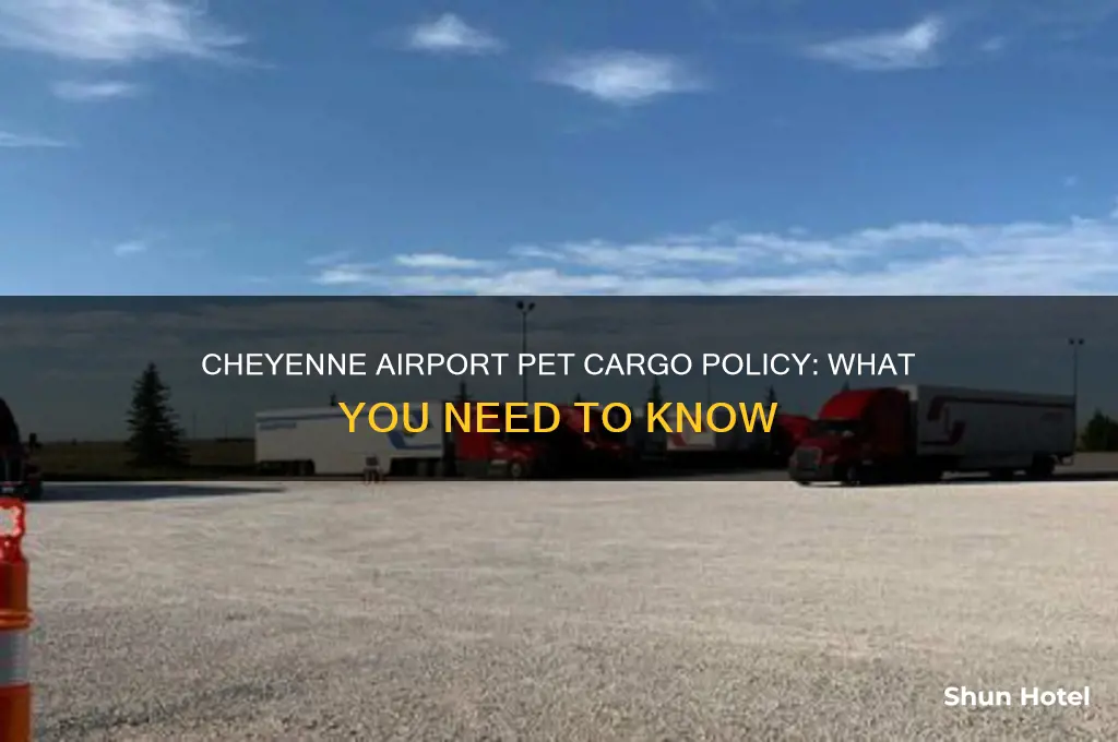 does cheyenne airport fly pets in cargo