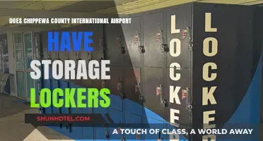 Chippewa County International Airport: Storage Lockers Availability Explained