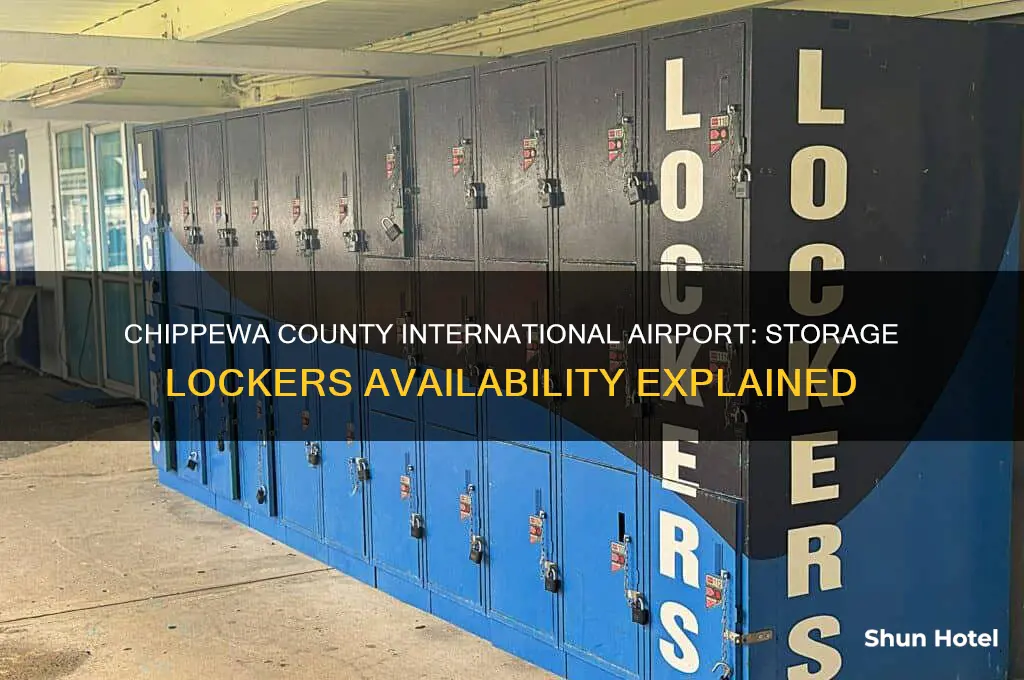 does chippewa county international airport have storage lockers
