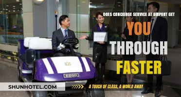 Concierge Service at Airports: Faster Travel or Luxury Perk?