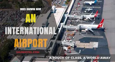 Exploring Darwin's Airport: Is It an International Hub?