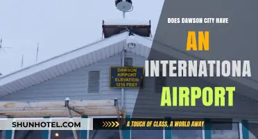 Dawson City Airport: International Hub or Local Gateway?